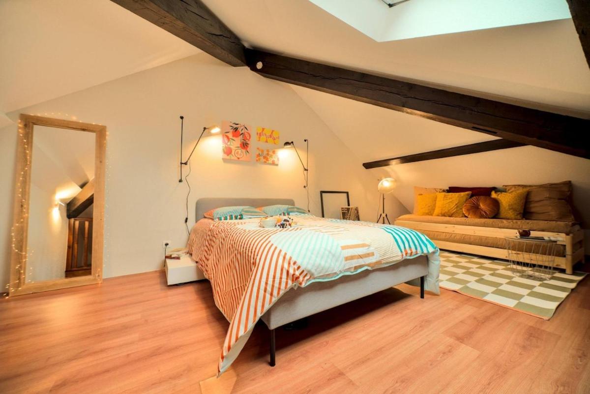 Appartement Superbe Contemporain Centre Mulhouse